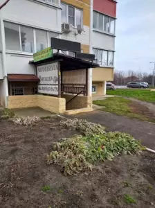 Фотография Восход 3
